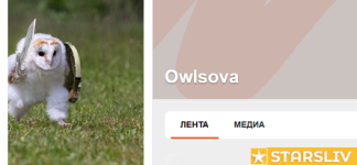 1736584091091.png 1736584091091.png