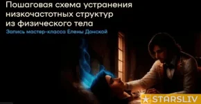 377822.webp 377822.webp