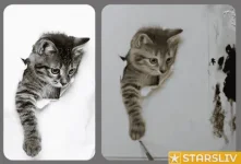 377821.webp 377821.webp