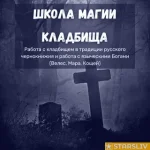 378818.webp 378818.webp