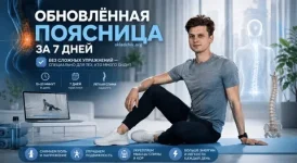 381231.webp 381231.webp