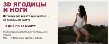 381234.webp 381234.webp