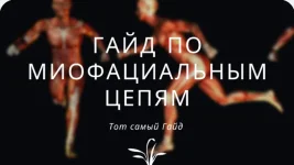 86369.webp 86369.webp