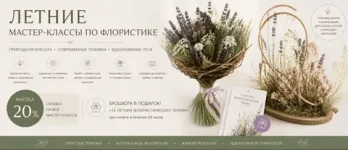 381657.webp 381657.webp