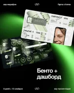 381849.webp 381849.webp