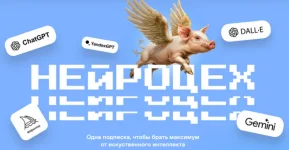 86442.webp 86442.webp