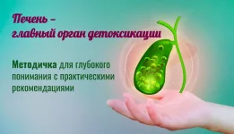 86453.webp 86453.webp
