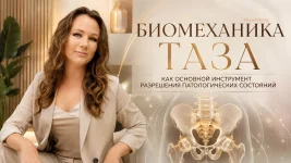 86447.webp 86447.webp