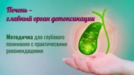 382169.webp 382169.webp
