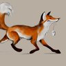 renard