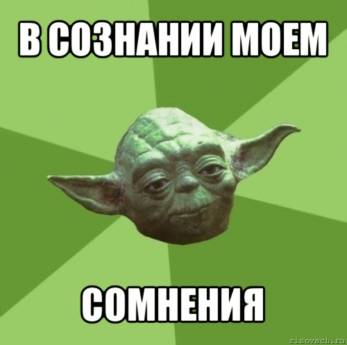 STjyjnJP6SM.jpg